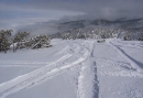 Powder days - Bulgaria